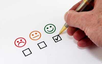 BVHI-Kundenbefragung 2025: Hohe Zufriedenheit und zunehmende Digitalisierung prägen den Markt